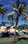 Mana Island Resort