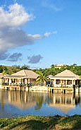 Musket Cove Resort